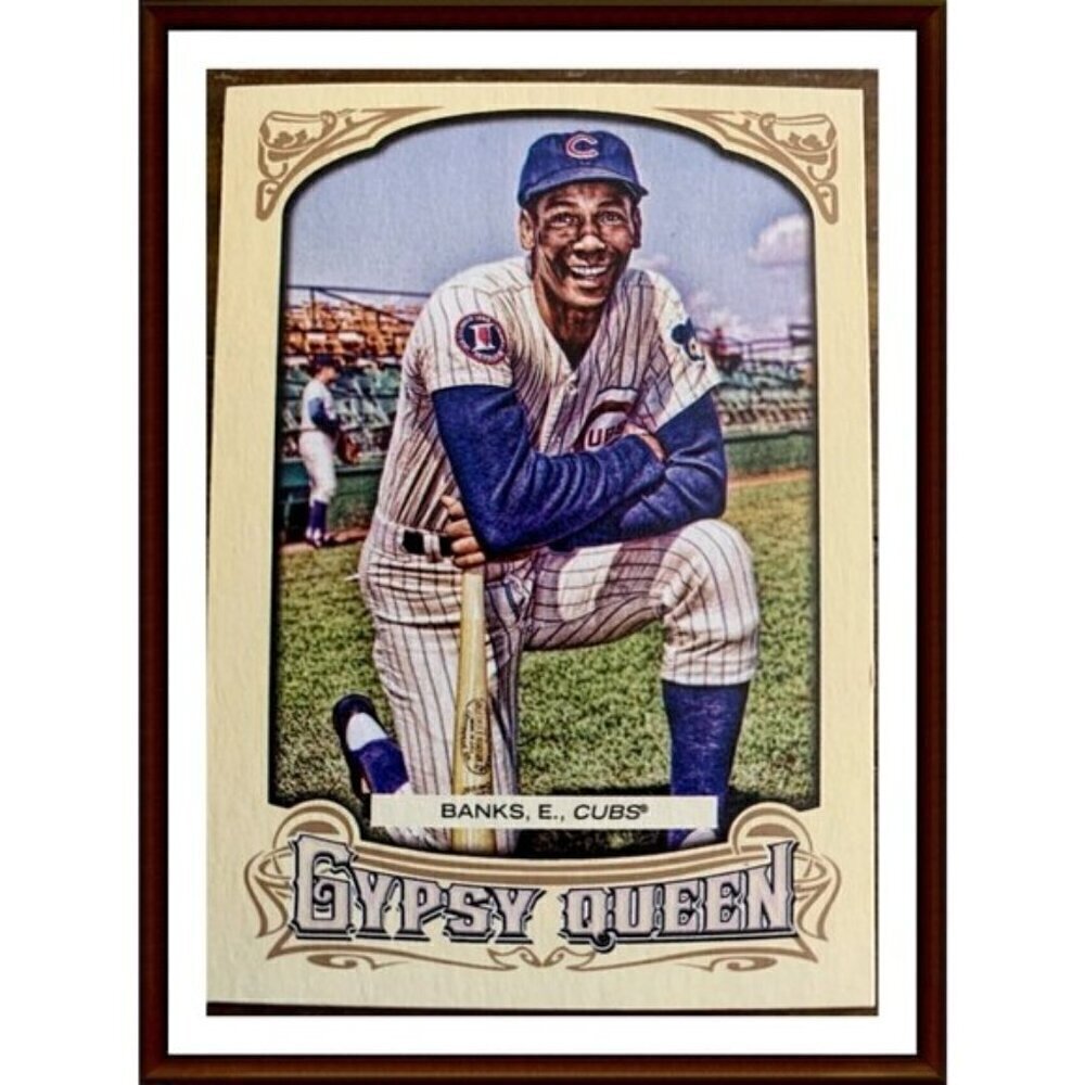2014 Topps Gypsy Queen CHICAGO CUBS 8 Card Team Set Banks Rizzo Fergie
